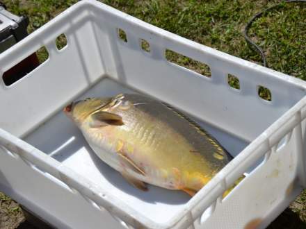 Konkurs wędkarski fot.eMGOK